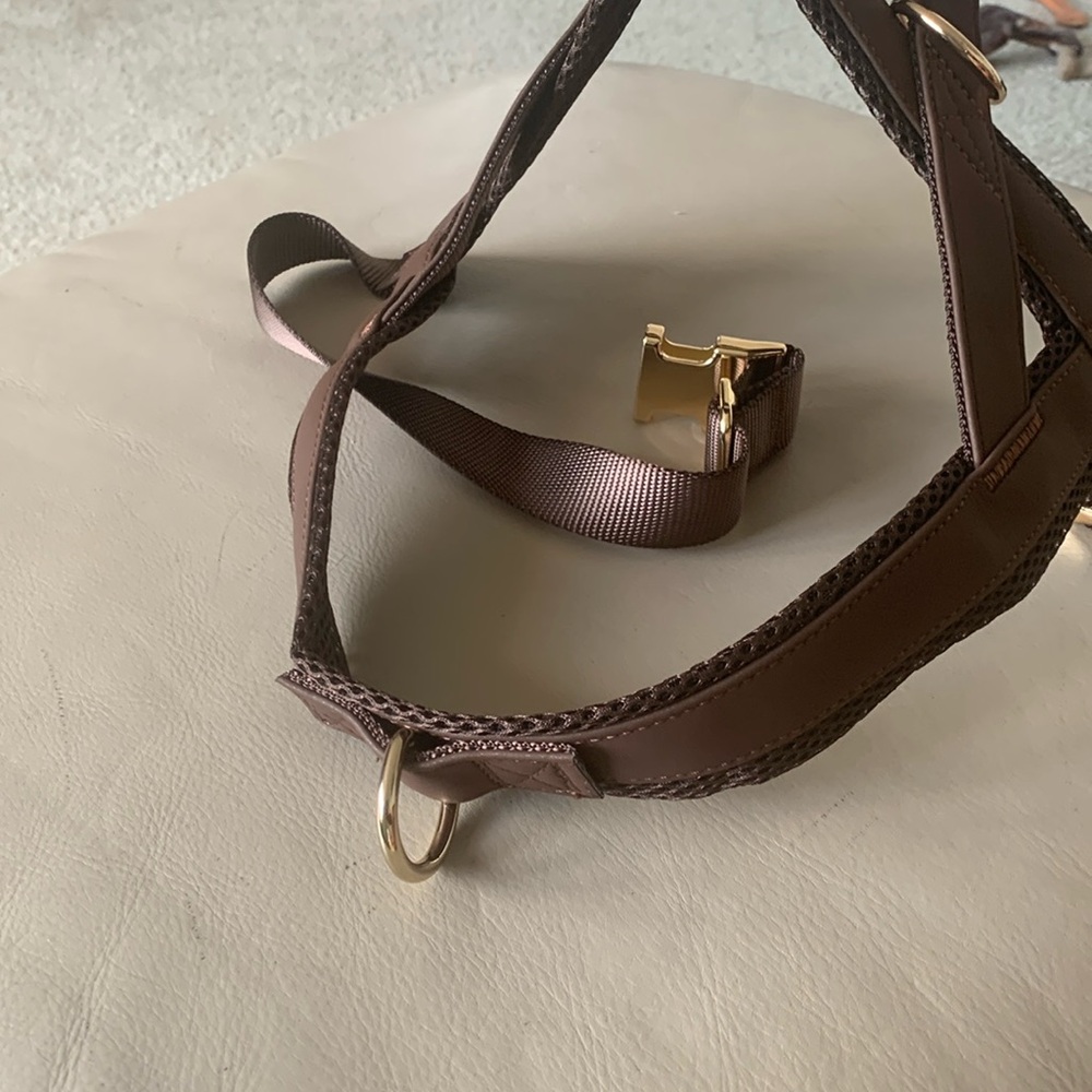 Harness